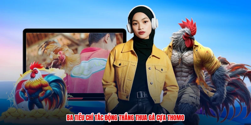 Ba tiêu chí tác động thắng thua gà cựa thomo