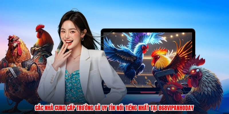 Các nhà cung cấp trường gà uy tín nổi tiếng nhất tại 868VIPanhoday