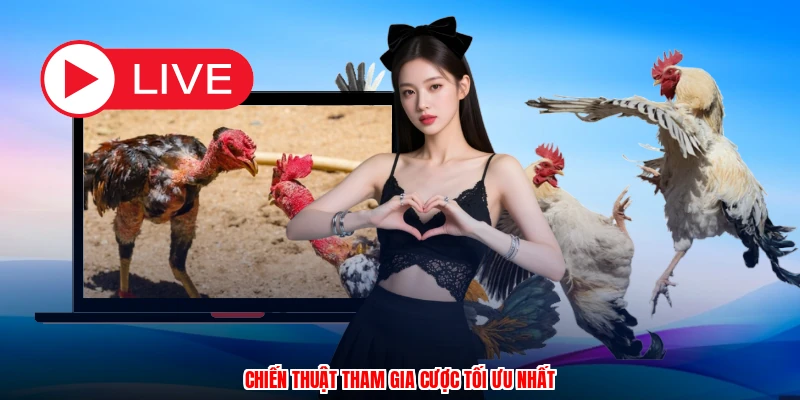 Chiến thuật tham gia cược tối ưu nhất