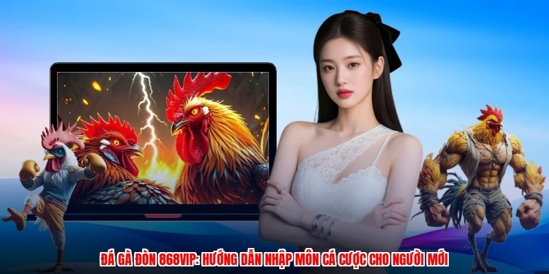 Đá Gà Đòn 868VIP: Hướng Dẫn Nhập Môn Cá Cược Cho Người Mới