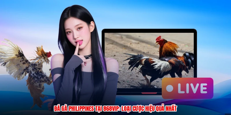 Đá Gà Philippines Tại 868VIP: Loại Cược Hiệu Quả Nhất
